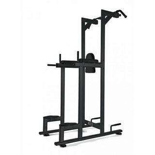 Struttura Chin/Dip/Leg raise Toorx WBX-2800