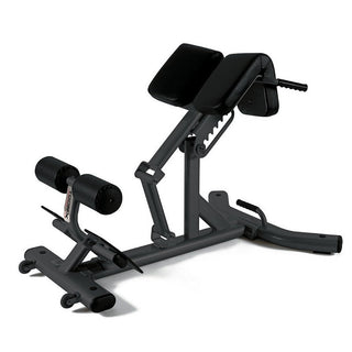 Panca Lombare Toorx WBX-2600