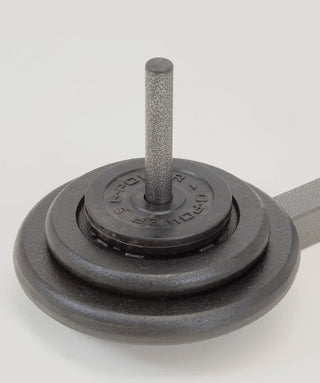 Supporto bilanciere Toorx Wbx 50 con porta dischi