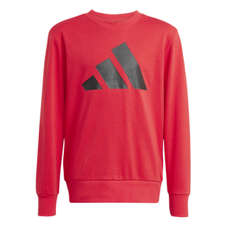 Completo - Adidas J BL FT JOG 240