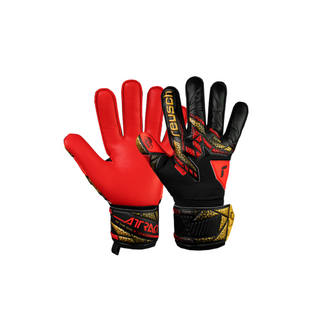 Guanti da Portiere - Reusch Attrakt Silver