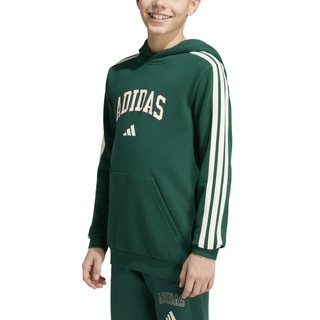 Felpa con Cappuccio - Adidas Codes Collegiate Graphic