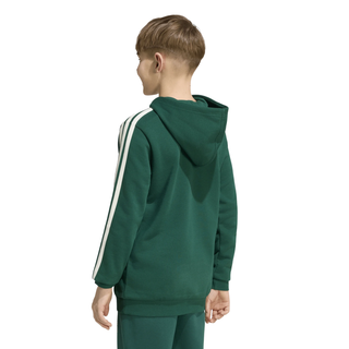 Felpa con Cappuccio - Adidas Codes Collegiate Graphic