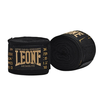 Bendaggi - Leone