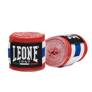 Bendaggi - Leone