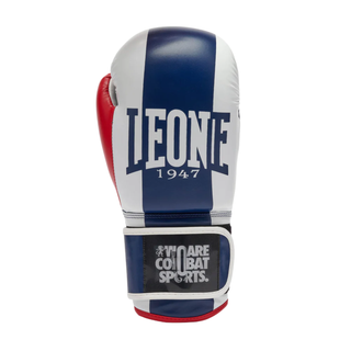 Guanti Boxe - Leone Color Block