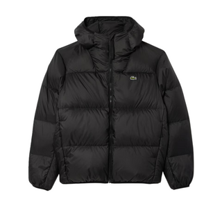 Giacca Imbottita - Lacoste BLUSONE