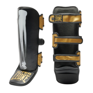 Paratibia - Leone X Iuter