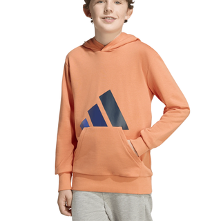 Felpa con Cappuccio - Adidas Essentials Hoodie