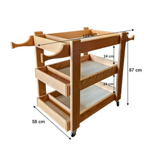 Carrello Psicomotorio in Legno di Faggio | Mobile Porta Attrezzi Multifunzione per Palestre, Studi e Scuole