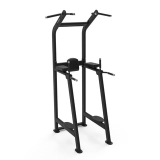 Chin Up/Dip Bench Diamond S550