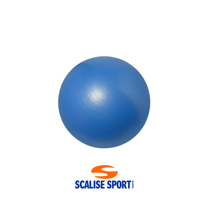 Palla Psicomotoria - Effea Gym Ball (55cm)