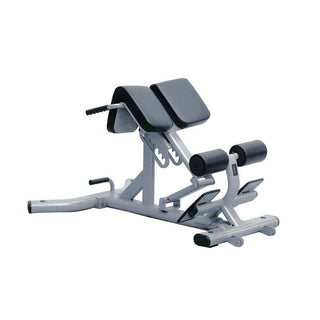 Panca Lombare Toorx WBX-2600