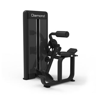 Back Extension Diamond S550 - Weight Stack 100 kg