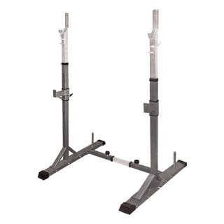 Supporto bilanciere Toorx Wbx 50 con porta dischi